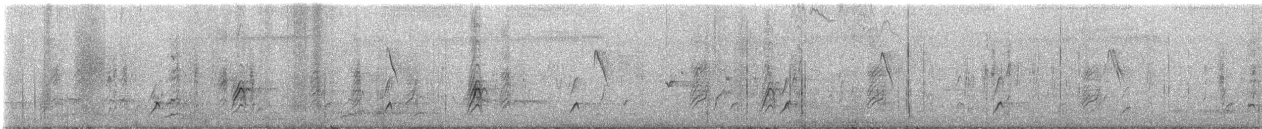 Белобрюхий артам - ML645485618