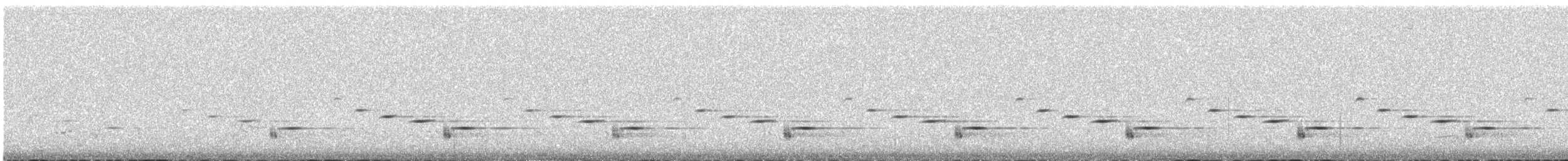 Chiming Wedgebill - ML645485900