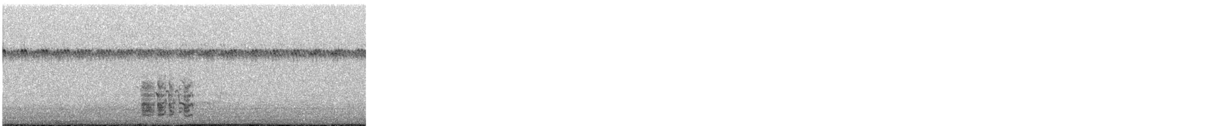 Pink Cockatoo - ML645486383