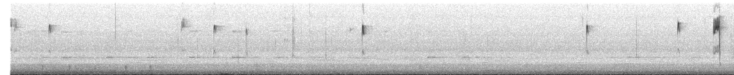 ゴジュウカラ - ML645486553