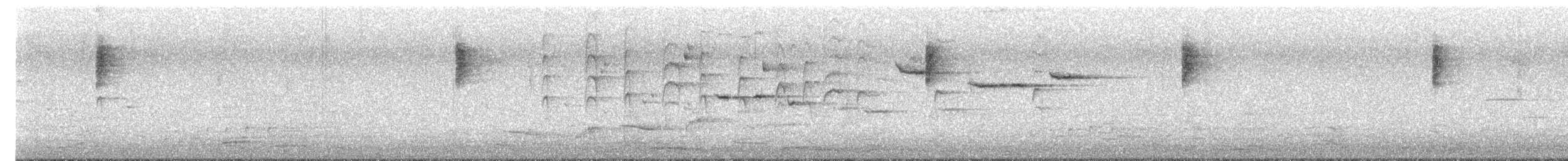Віялохвістка сиза - ML645486755
