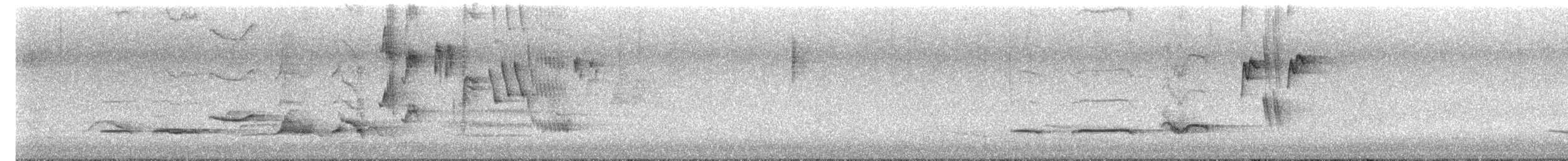 Дрізд чорний - ML645486872