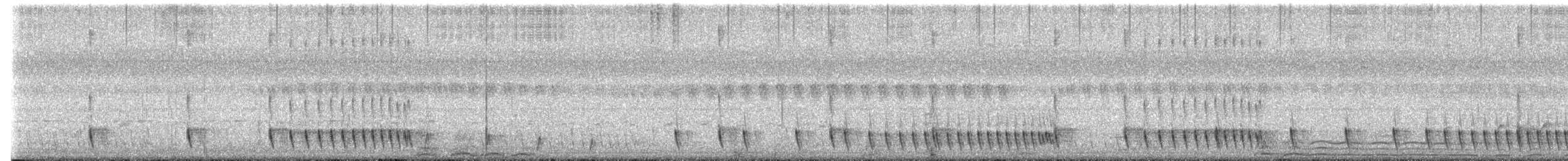 Дрімлюга індійський - ML645486879