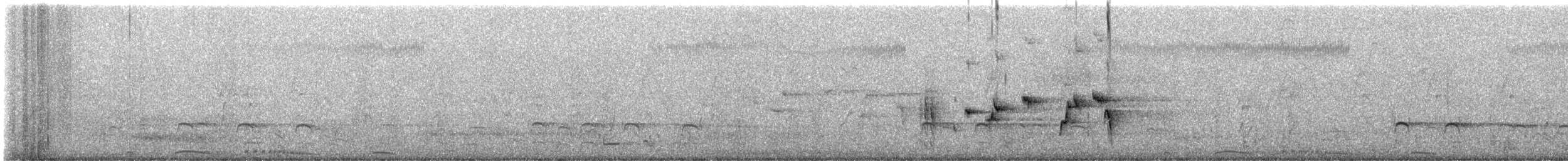 Горлиця китайська (підвид chinensis/tigrina) - ML645486976