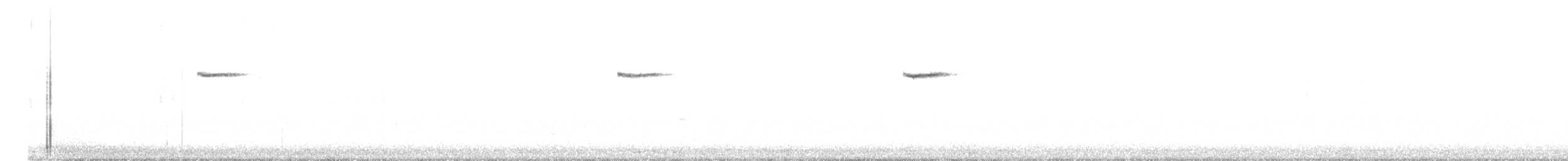 Bar-tailed Treecreeper - ML645487610