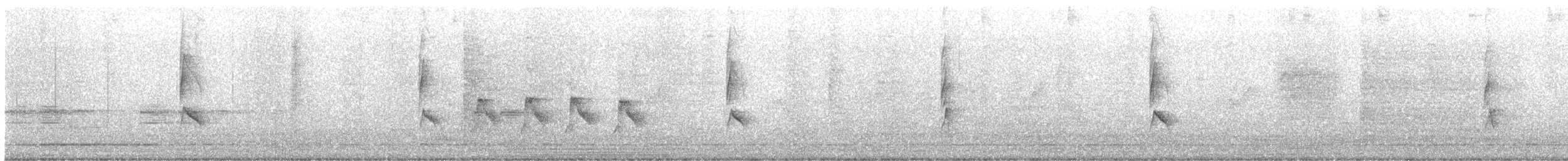 Blyth's Reed Warbler - ML645487625