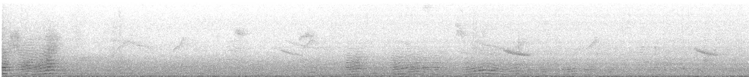 Indian White-eye - ML645487658