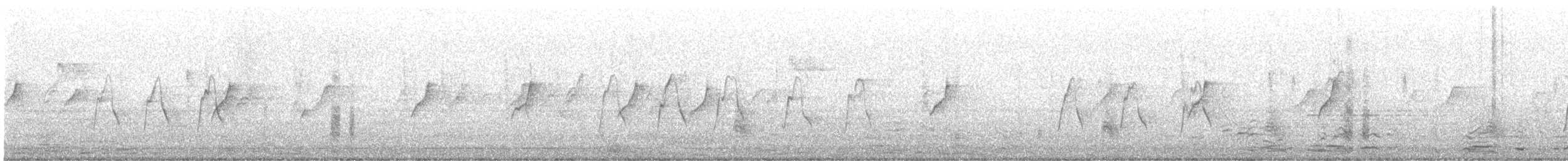 オナガサイホウチョウ - ML645487688