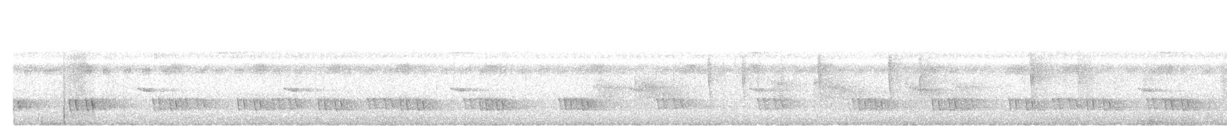 Schwarzohr-Bartvogel - ML645488981