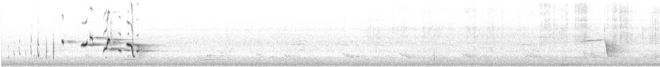 Gartenfächerschwanz - ML645489000