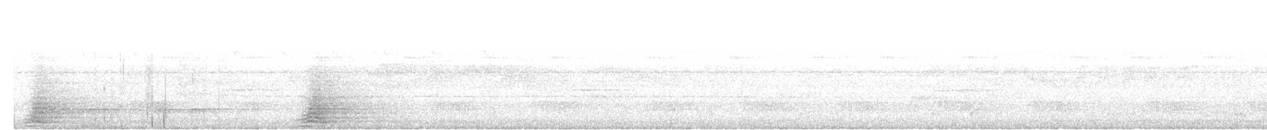 Raffleskuckuck - ML645489272