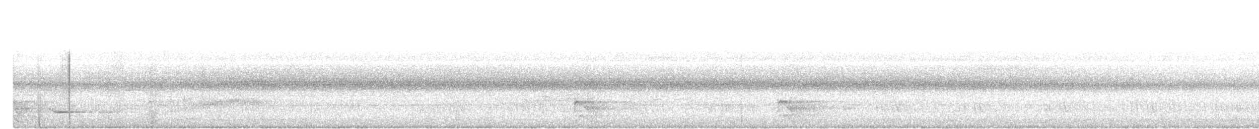 Weißbauchspecht - ML645489314