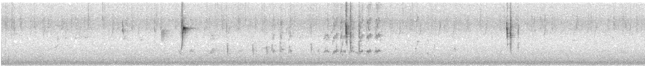 Braunhonigfresser - ML645489418