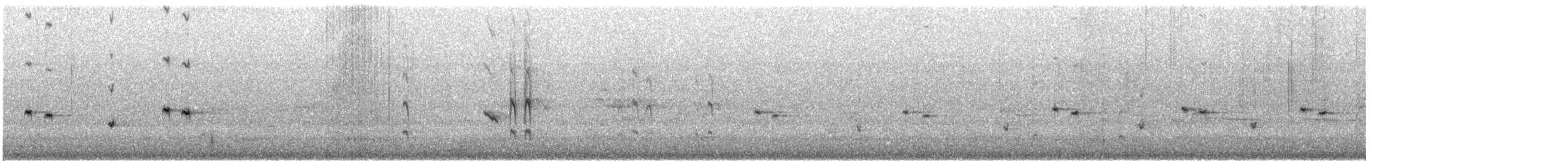 Weißschwanzgerygone - ML645489436