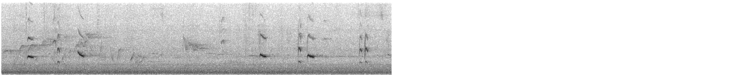 Weißschwanzgerygone - ML645489437