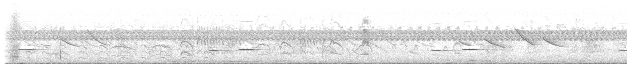 Streifenkuckuck - ML645489452