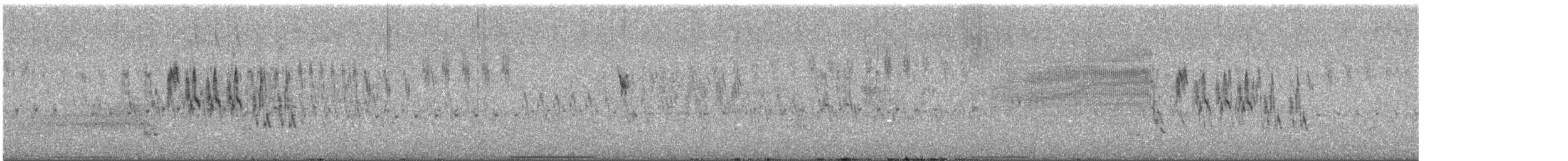 Weißbauchpieper - ML645489459