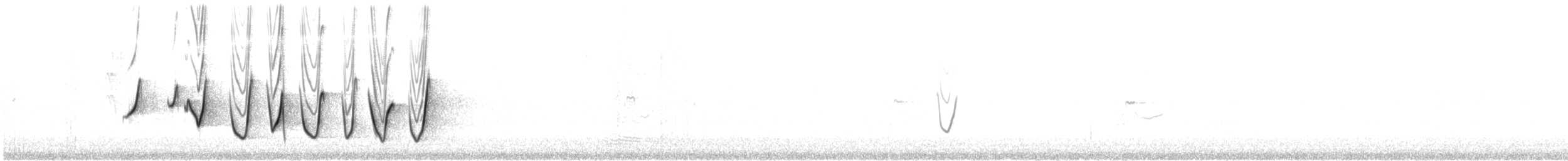 Schlichtmantel-Dickkopf - ML645489468