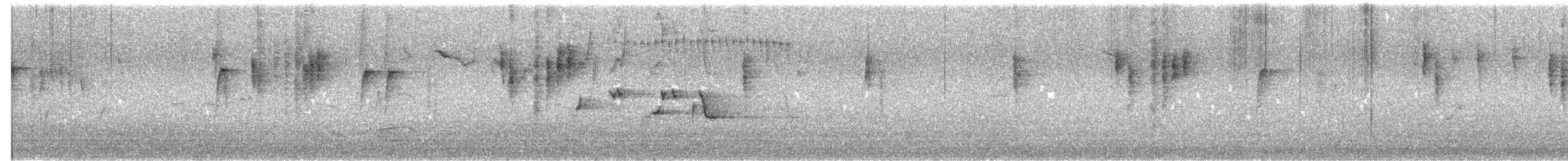 Gartenfächerschwanz - ML645489485