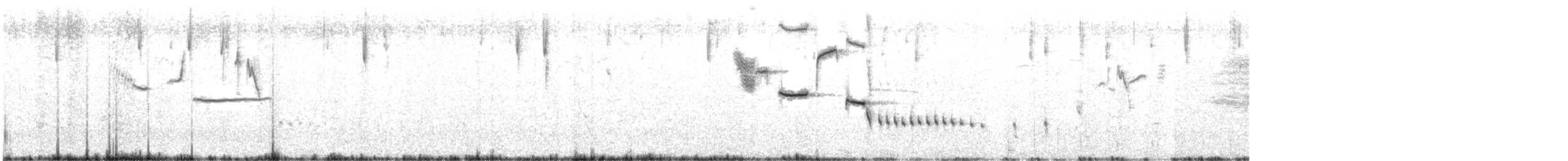 Schwarzschenkelstärling - ML645489517