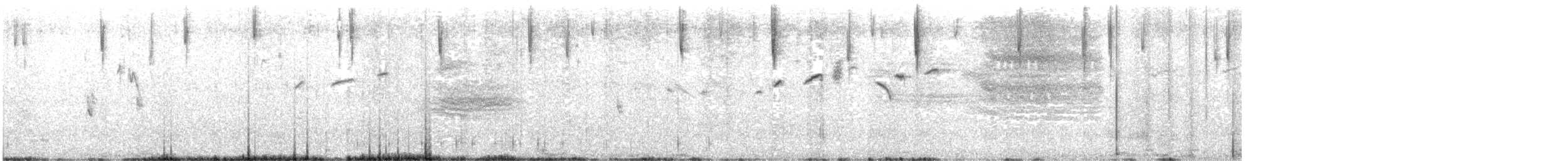 Schwarzschenkelstärling - ML645489518