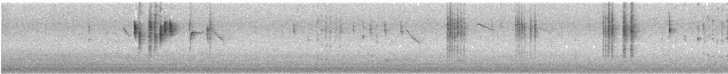 Fleckensericornis - ML645489569