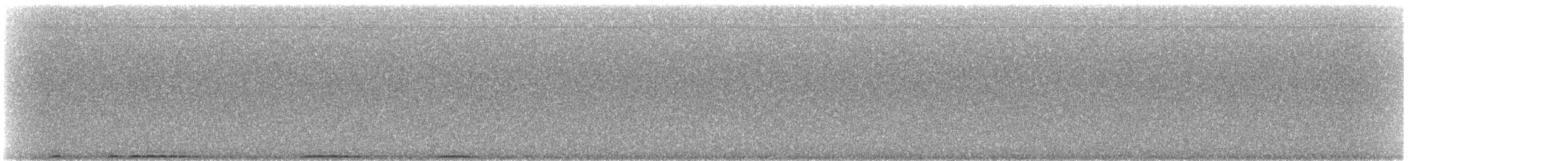 výr virginský - ML645489864