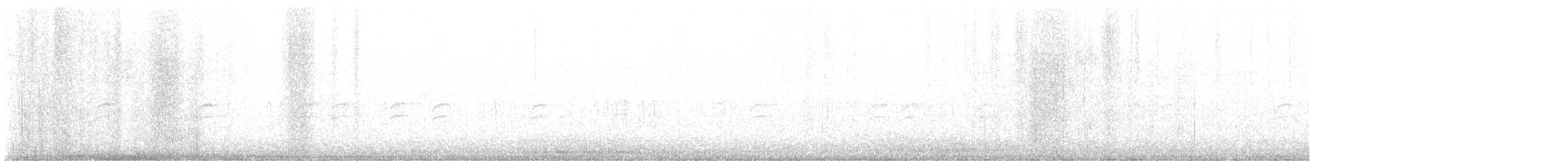 křivka bělokřídlá - ML645490271