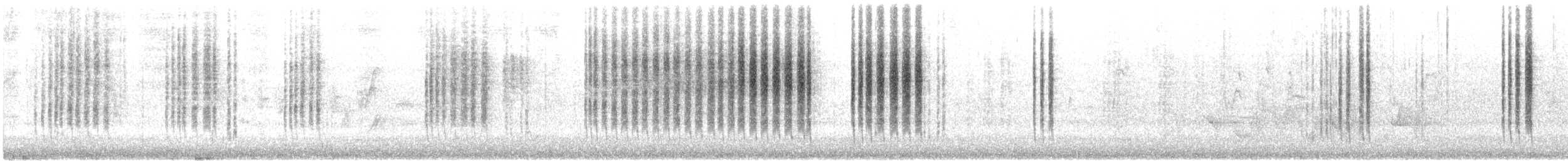 Spotted Scrubwren - ML645490281