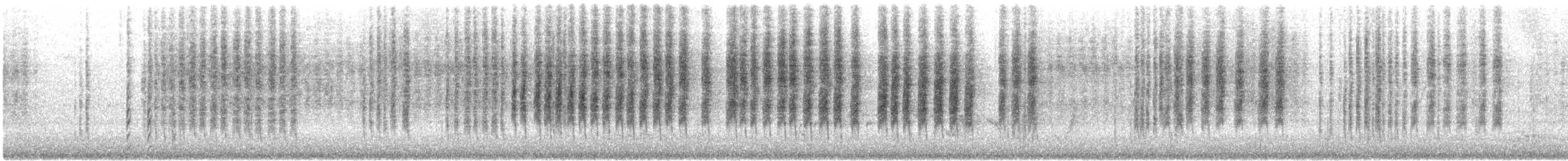 Spotted Scrubwren - ML645490282