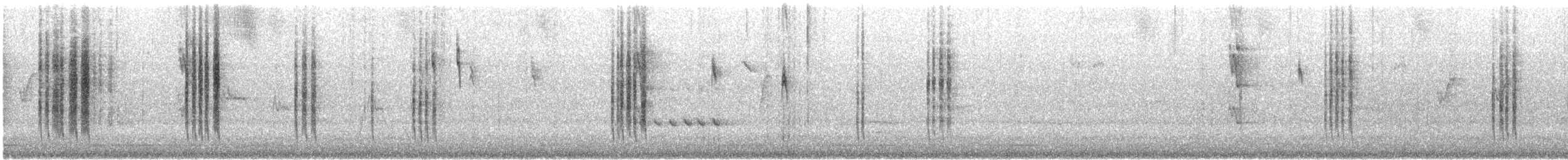 Spotted Scrubwren - ML645490287