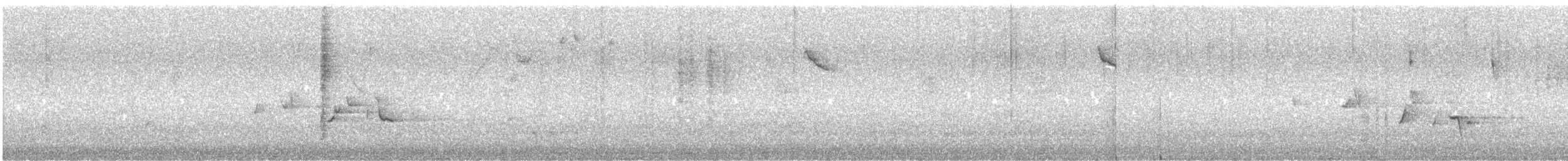 Spotted Scrubwren - ML645490294