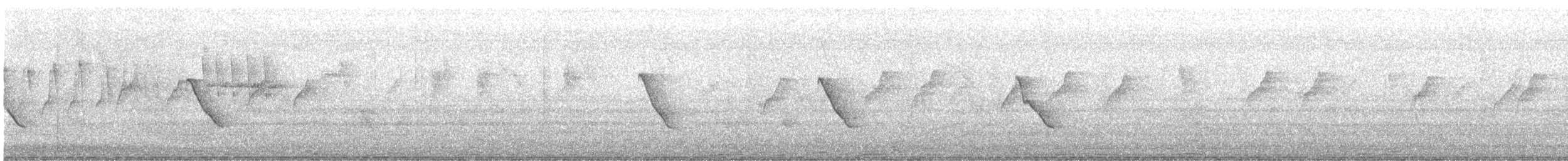 Common Tailorbird - ML645490657