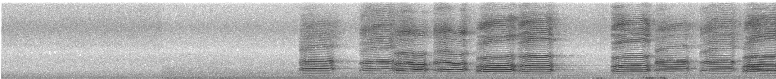 Australian Raven - ML645490684