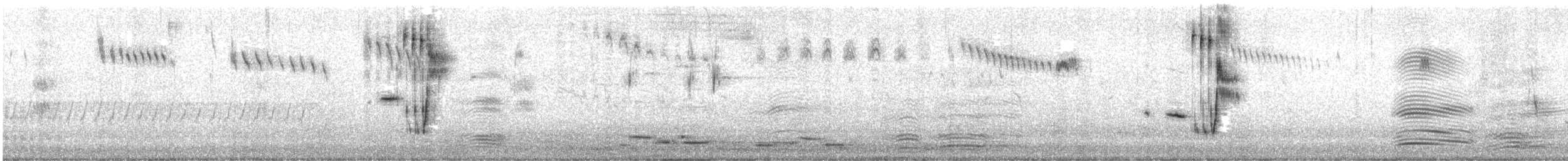 Rufous Songlark - ML645490709