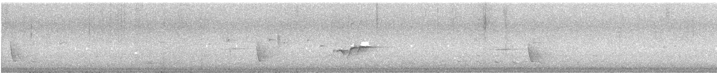 Rufous Whistler - ML645490717