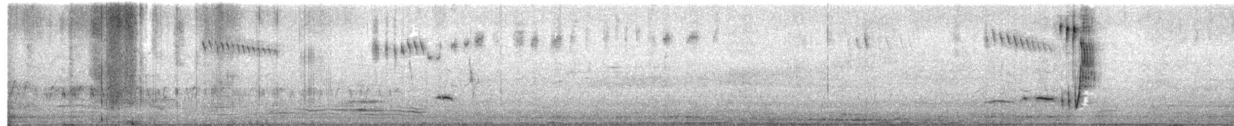 Rufous Songlark - ML645490788