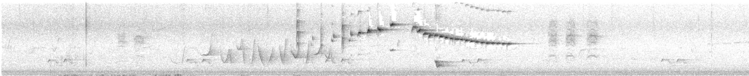 Gray Fantail (preissi) - ML645490806