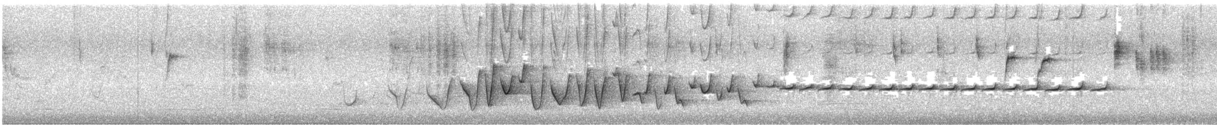 Rufous Whistler - ML645490886