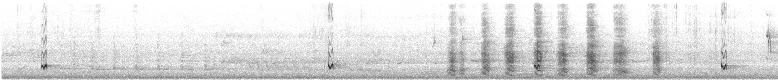 Singing Honeyeater - ML645490888