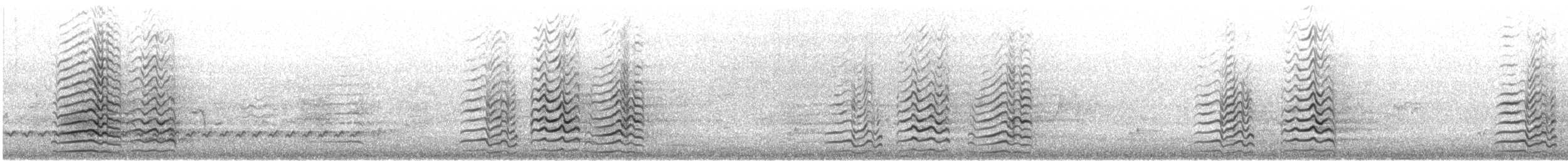 Little Corella - ML645490895