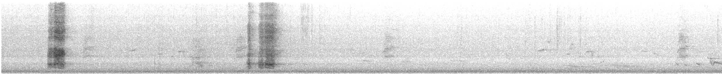 Red Wattlebird - ML645490901