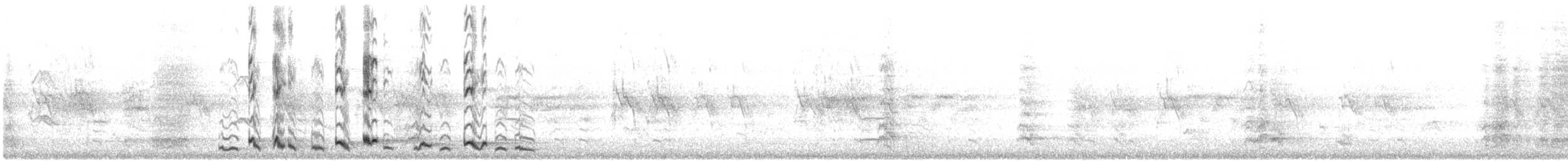 Gray Butcherbird - ML645490904