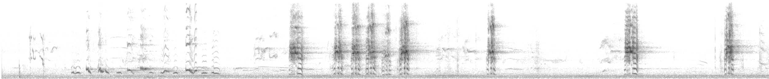 Gray Butcherbird - ML645490908