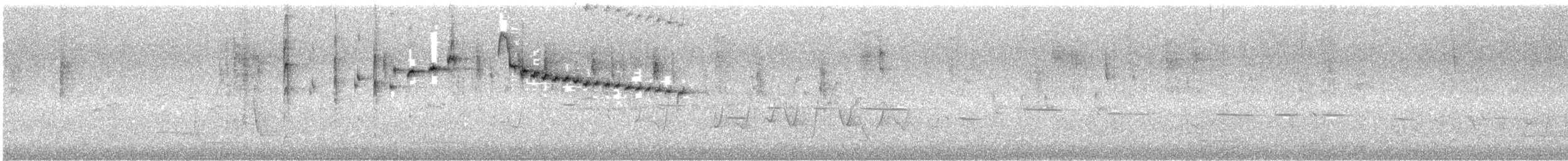 Gray Fantail (preissi) - ML645490910