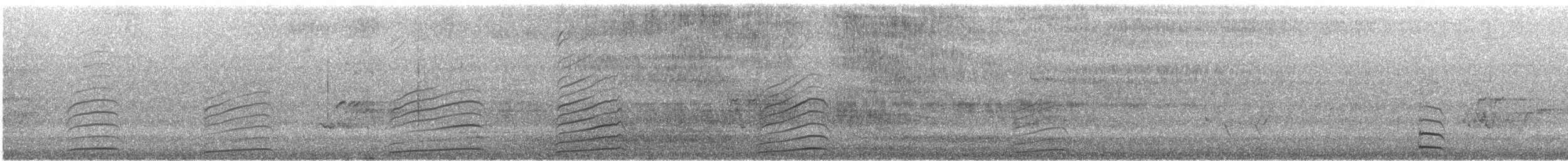 Australian Magpie (Western) - ML645490911