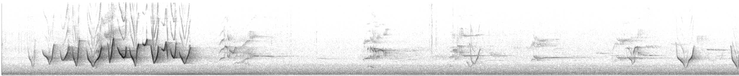 Rufous Whistler - ML645490918