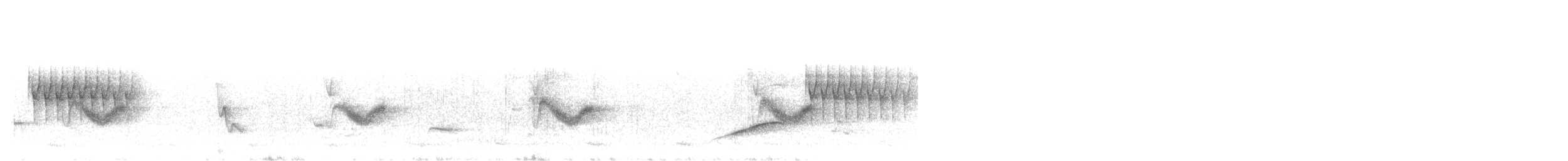 Spotted Towhee - ML645490925