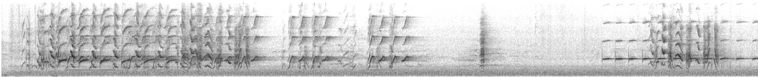 Australian Ringneck (Twenty-eight) - ML645490933