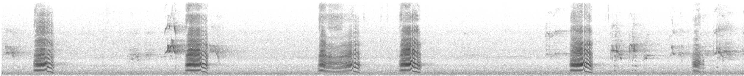 Australian Magpie (Western) - ML645490943